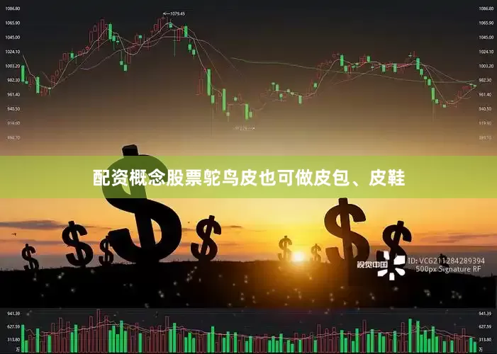 配资概念股票鸵鸟皮也可做皮包、皮鞋