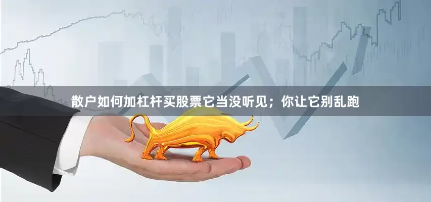 散户如何加杠杆买股票它当没听见；你让它别乱跑