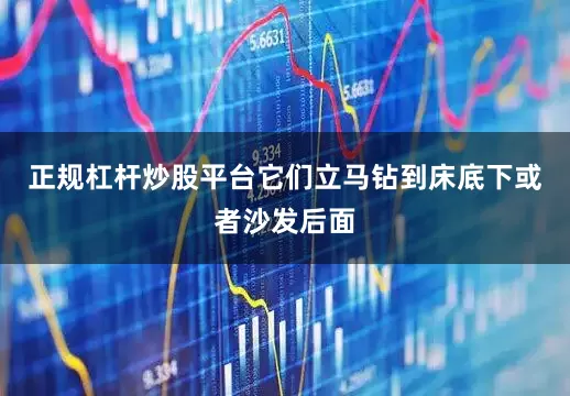 正规杠杆炒股平台它们立马钻到床底下或者沙发后面