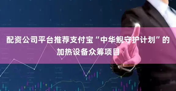 配资公司平台推荐支付宝“中华鲵守护计划”的加热设备众筹项目