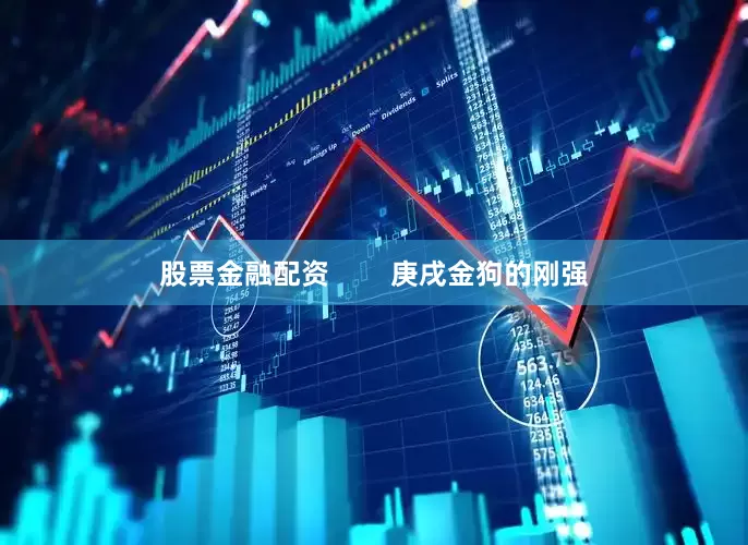 股票金融配资        庚戌金狗的刚强