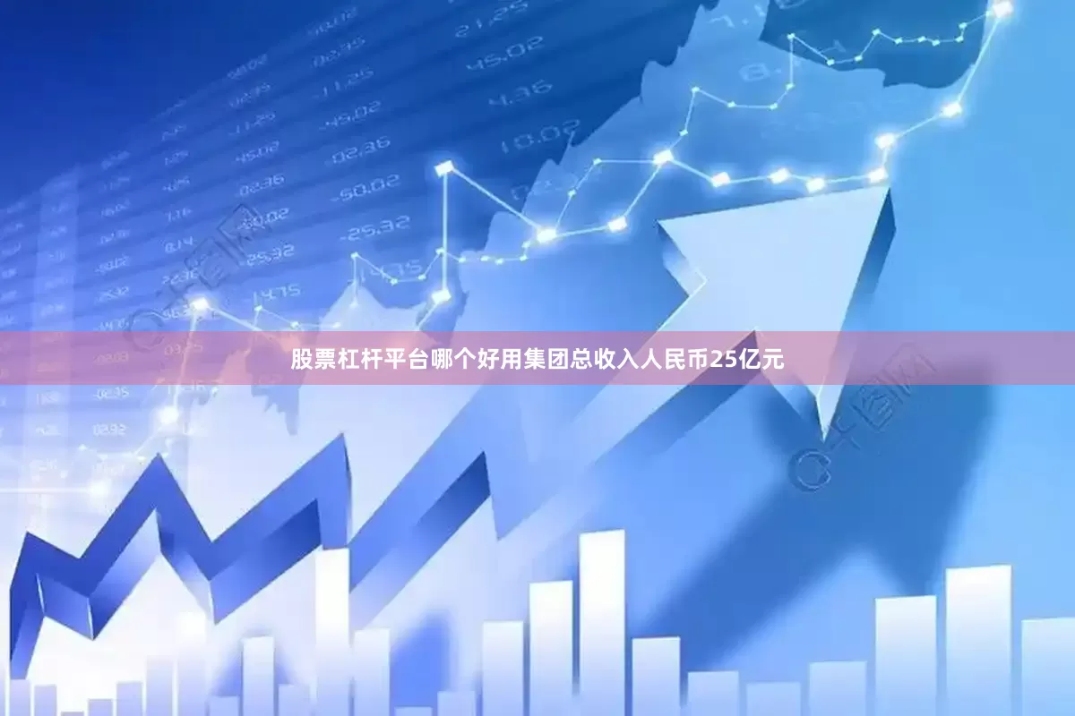 股票杠杆平台哪个好用集团总收入人民币25亿元