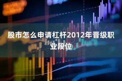 股市怎么申请杠杆2012年晋级职业段位